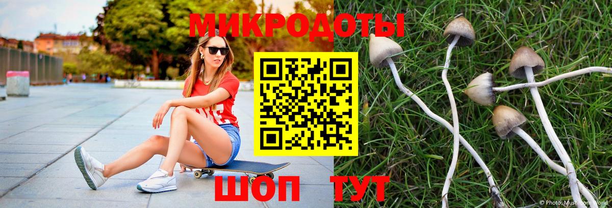 Галлюциногенные грибы Psilocybine cubensis  Вход с VPN  Псилоцибиновые грибы Psilocybe  Чебоксары 