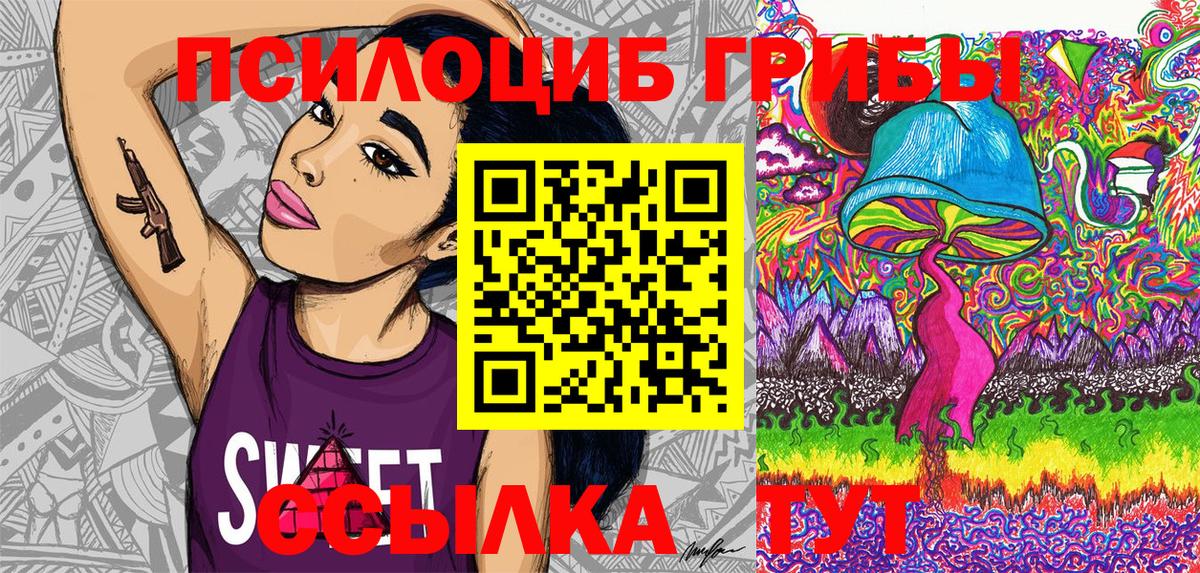 Псилоцибиновые грибы Cubensis  Чебоксары 