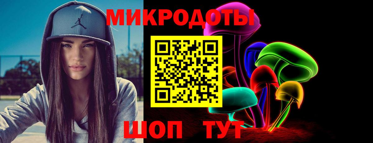 Псилоцибиновые грибы Psilocybine cubensis Чебоксары